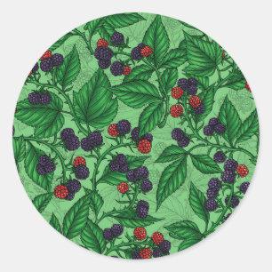 Sticker Rond Blackberry en vert