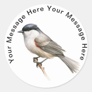 Sticker Rond Blackcap