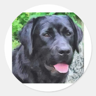 Sticker Rond blackLabRizoFull.jpg