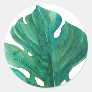 Sticker Rond Blanc & Vert Feuille Tropicale Élégante Baby Showe