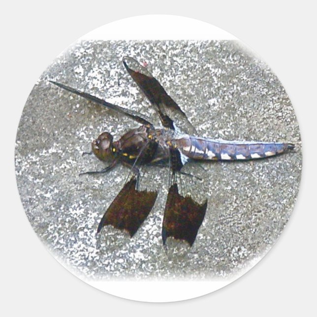 Sticker Rond Bleu (Devant)