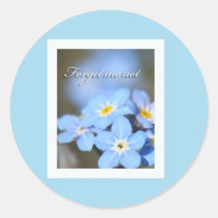 Sticker Rond Bleu clair avec oublié