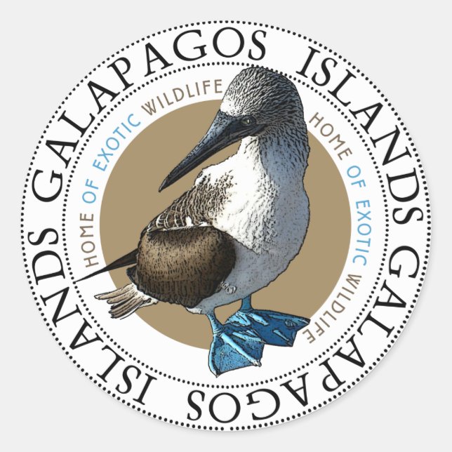 Sticker Rond Bleu Pied Booby Galapagos Îles (Devant)