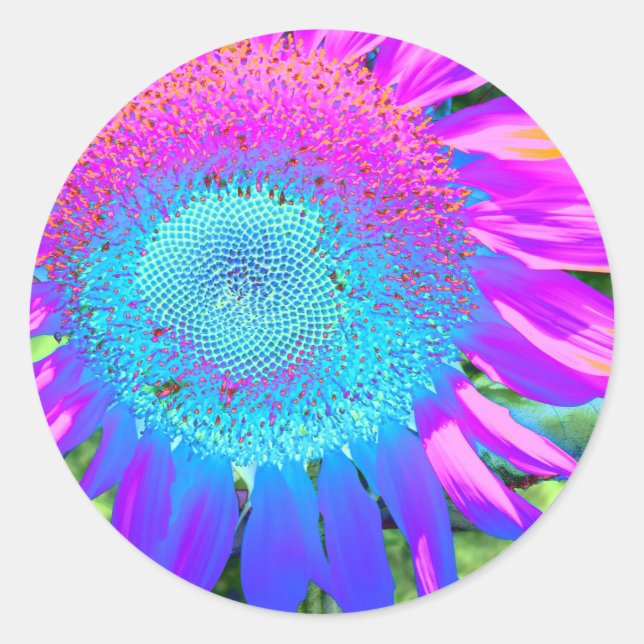 Sticker Rond Bleu rose rétro tournesol funky photo (Devant)
