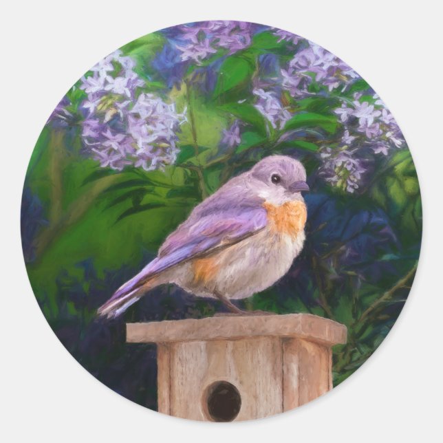 Sticker Rond Bleuet de l'Est en neige - Photo originale (Devant)