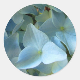 Sticker Rond Blue Hydrangea Fleurs Florales Photo