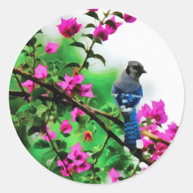 Sticker Rond Blue Jay (Devant)