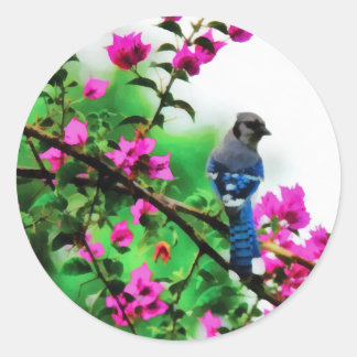 Sticker Rond Blue Jay