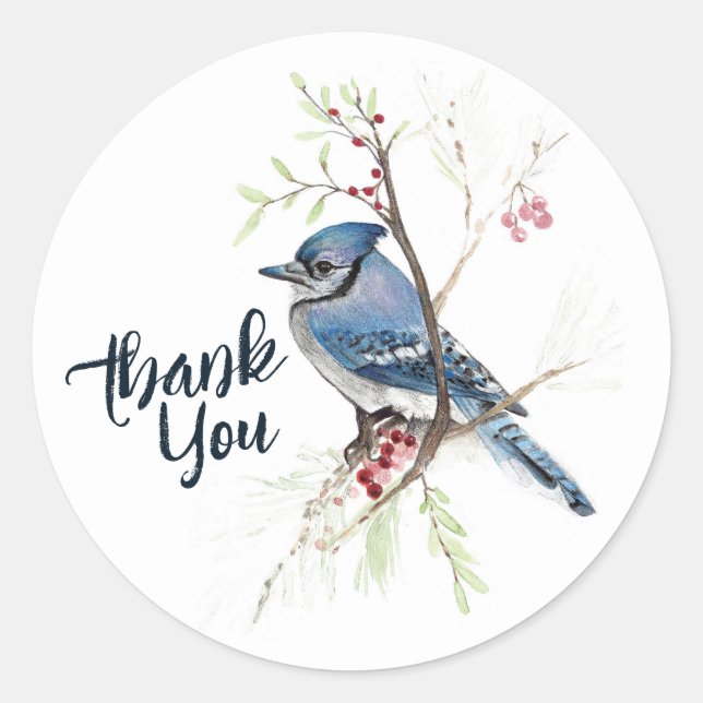 Sticker Rond Blue Jay Bird Berries Art (Devant)