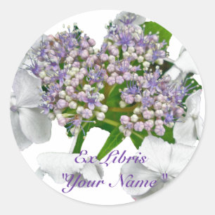 Sticker Rond Blue Lace Hydrangea Coordonner les éléments