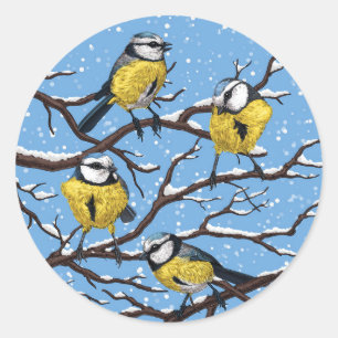 Sticker Rond Blue tit birds en hiver