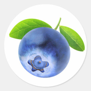 Sticker Rond Blueberry