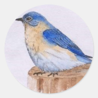 Sticker Rond Bluebird