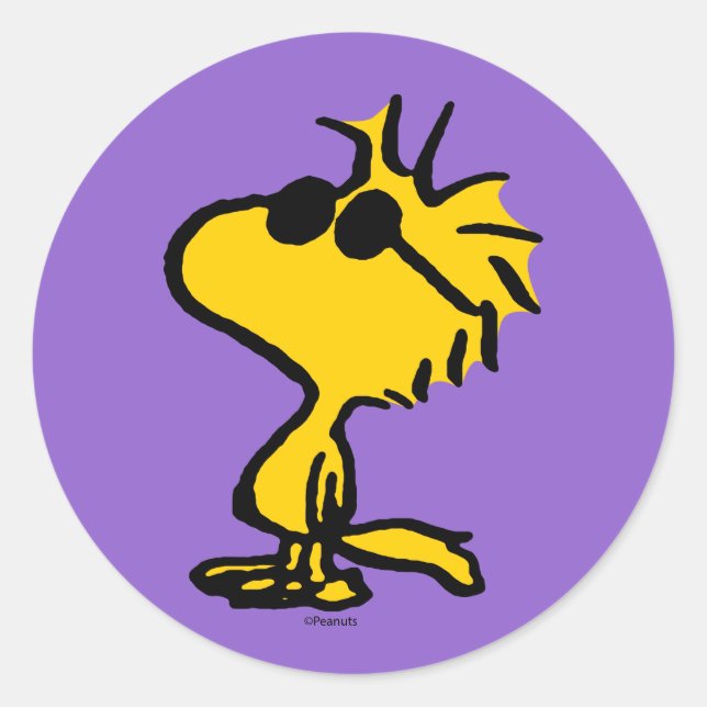 Sticker Rond Bois En Lunettes De Soleil (Devant)
