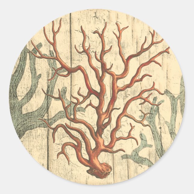 Sticker Rond Bois et petit corail (Devant)