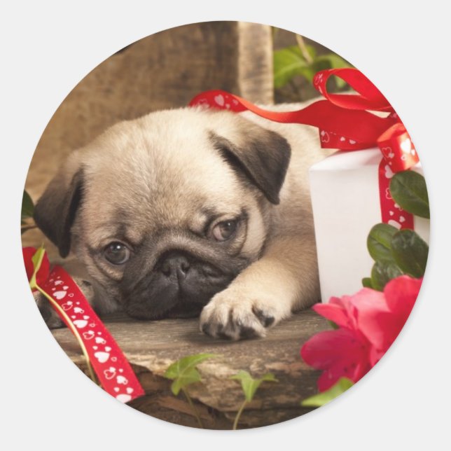 Sticker Rond Boîte à carlins et à cadeaux (Devant)