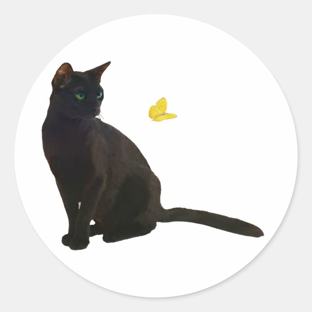 Sticker Rond Bombay Cat & Papillon (Devant)
