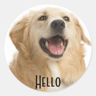 Sticker Rond Bonjour mignon Golden Retriever Chien Chien Sticke
