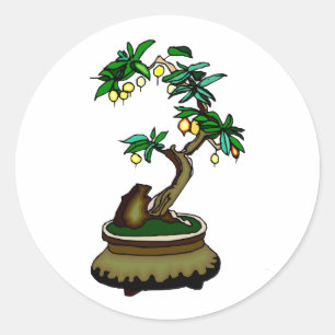 Sticker Rond Bonsaïs fruitiers dans l'image de graphique de
