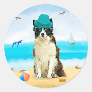 Sticker Rond Border Collie sur la plage