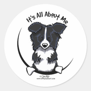 Sticker Rond Bordure Collie Tout Sur Moi