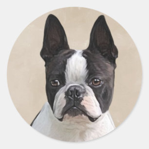 Sticker Rond Boston Terrier