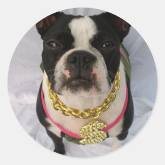 Sticker Rond Boston Terrier Rapper