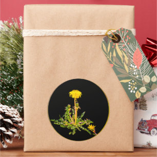 Sticker Rond Botanique en fleur de Dandelion