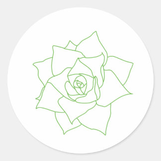 Sticker Rond Botanique verte succulente minimaliste