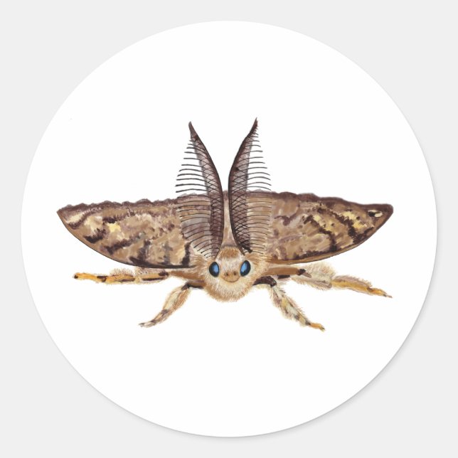 Sticker Rond Bouche tzigane, Lymantria dispar dispar, vol (Devant)