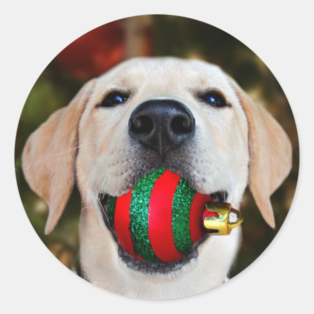 Sticker Rond Boule de Noël du laboratoire jaune (Devant)