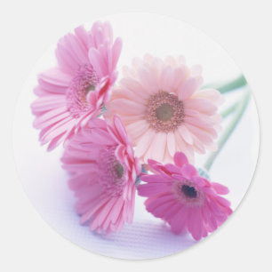 Sticker Rond Bounty du jardin 8