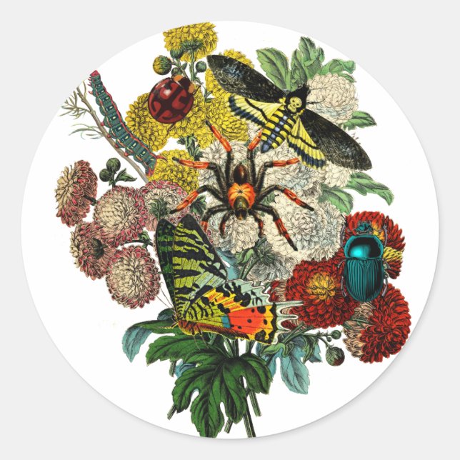 Sticker Rond Bouquet de fleurs avec des bogues Alterne art Vint (Devant)