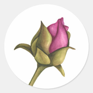 Sticker Rond bourgeon de pivoine