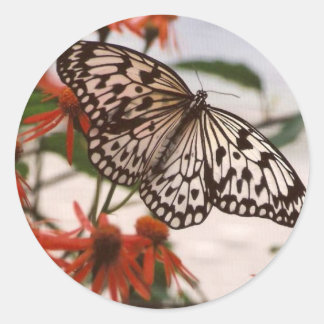 STICKER ROND BOUTEILLE NOIRE ET BLANCHE AVEC FLEURS ORANGES