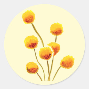 Sticker Rond Bouton Billy jaune fleur australienne originaire