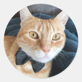 Sticker Rond Bow