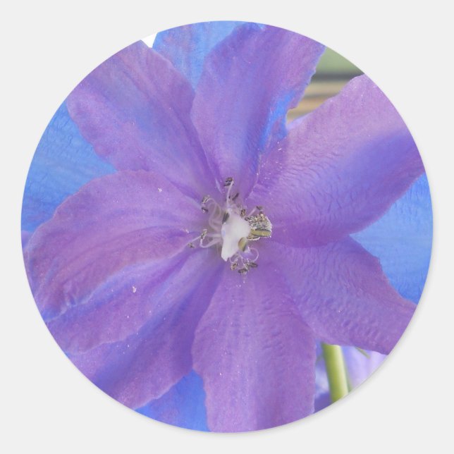 Sticker Rond Bowen (Devant)