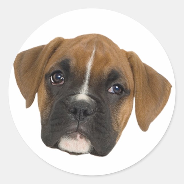 Sticker Rond Boxer (Devant)