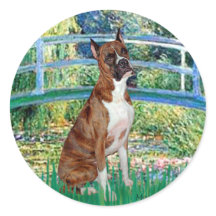 Boxer (br5) - Pont