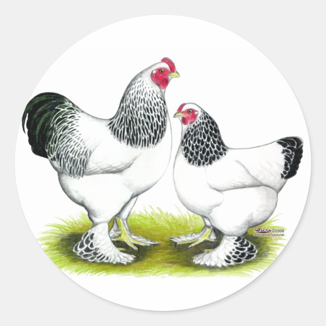 Sticker Rond Brahma : Lumière (Devant)