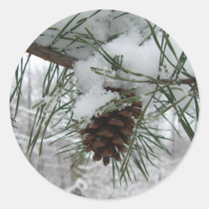 Sticker Rond Branche des pins neigeux Photographie de la nature