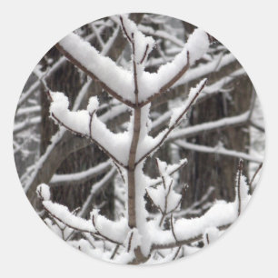 Sticker Rond Branches couvertes de neige