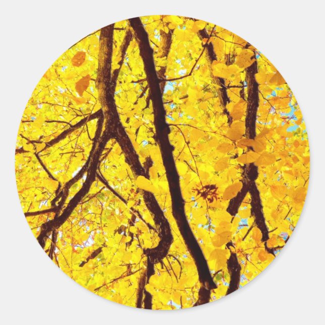 Sticker Rond Branches d'automne - jaune or (Devant)