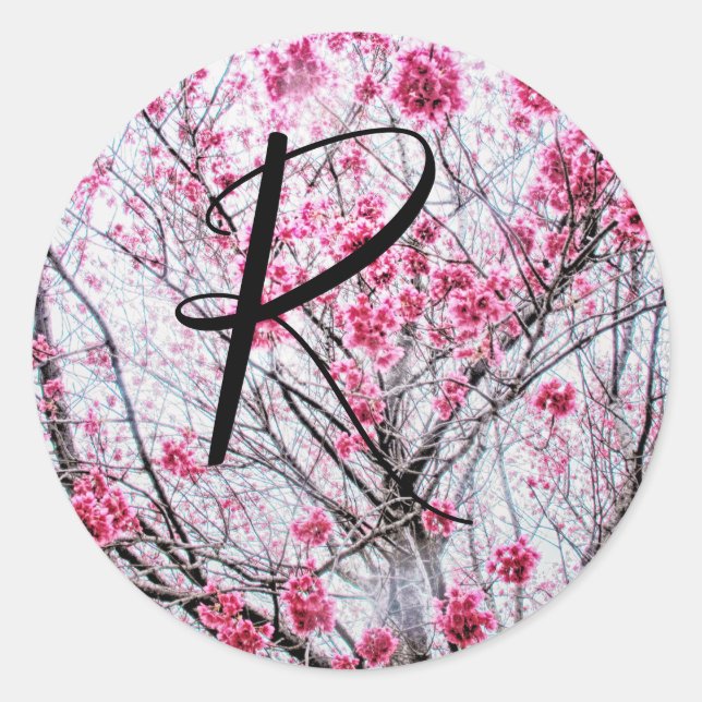 Sticker Rond Branches et fleurs d'un cerisier (Devant)