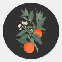 Branches orange magiques