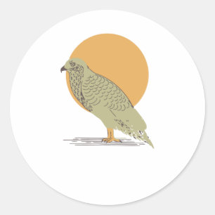 Sticker Rond Brave Buzzard