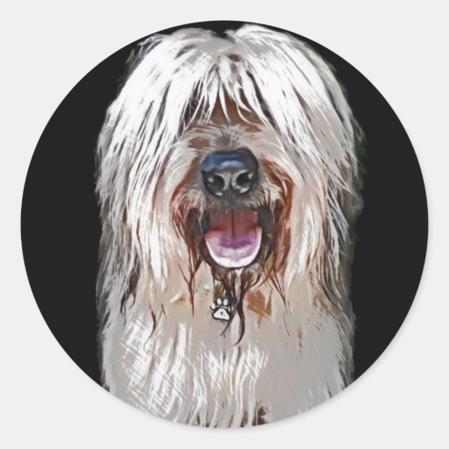 Sticker Rond Briard souriant (Devant)