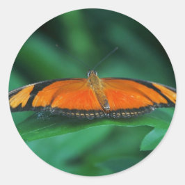 Sticker Rond Bright Orange and Black Butterfly on Leaf