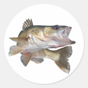 Sticker Rond Brochets vairons de pêche